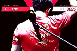关于东道主运动员技压群雄，夺得冠军的信息